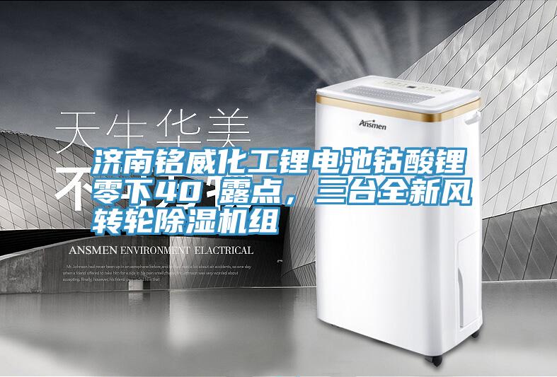 濟(jì)南銘威化工鋰電池鈷酸鋰零下40℃露點(diǎn)，三臺(tái)全新風(fēng)轉(zhuǎn)輪除濕機(jī)組