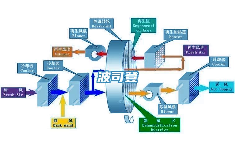 波司登