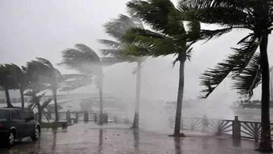 8月臺(tái)風(fēng)雨即將來，除濕機(jī)還得用起來