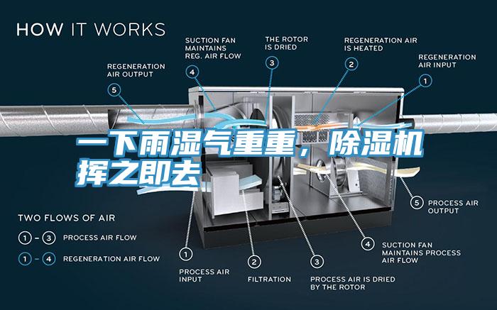 一下雨濕氣重重，除濕機(jī)揮之即去