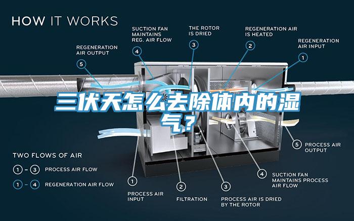 三伏天怎么去除體內(nèi)的濕氣？