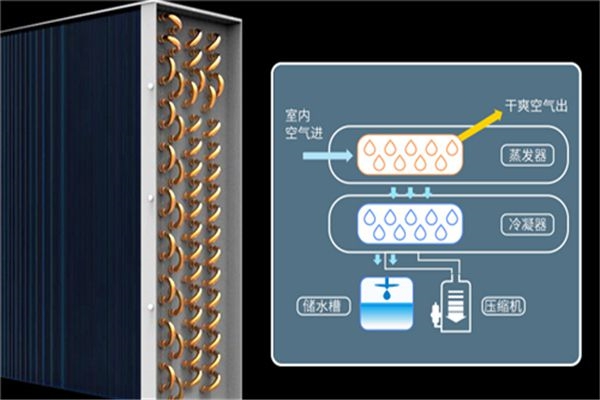 定位：除濕機(jī)廠家開年投資需避雷 市場(chǎng)弱勢(shì)變強(qiáng)勢(shì)