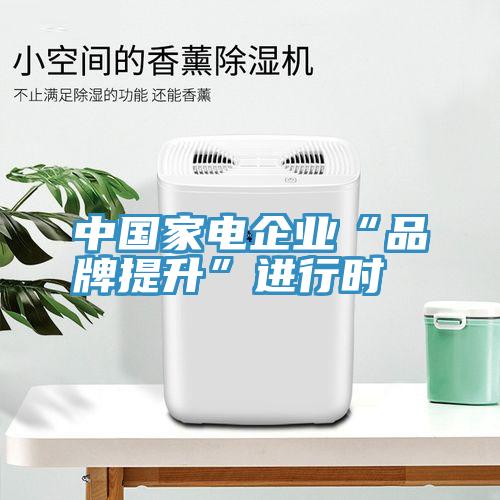 中國家電企業(yè)“品牌提升”進(jìn)行時