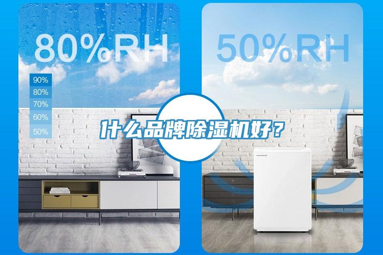 什么品牌除濕機(jī)好？