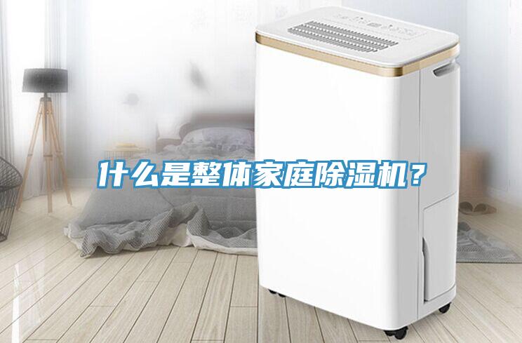 什么是整體家庭除濕機？