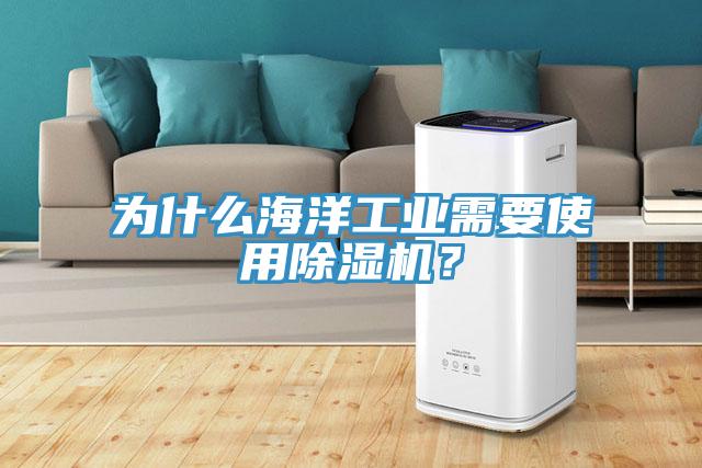 為什么海洋工業(yè)需要使用除濕機(jī)？