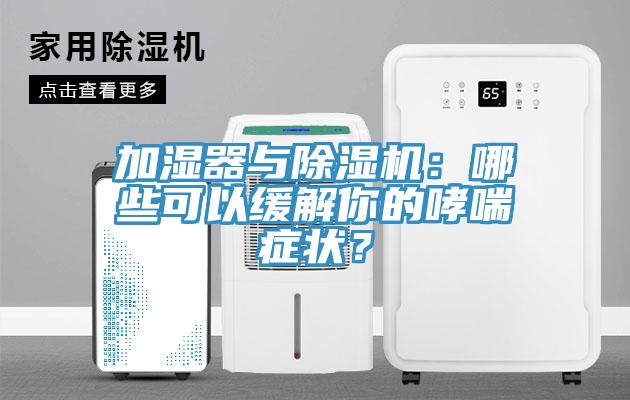 加濕器與除濕機：哪些可以緩解你的哮喘癥狀？