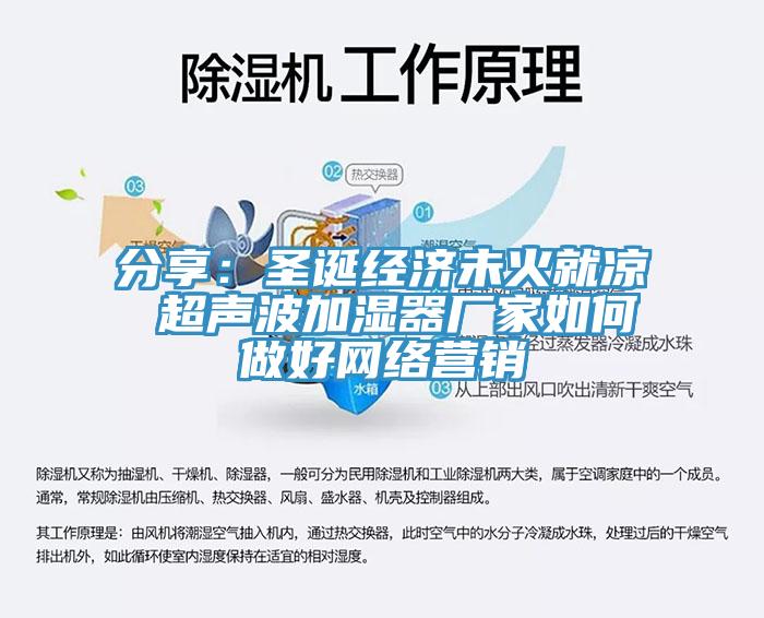 分享：圣誕經(jīng)濟(jì)未火就涼 超聲波加濕器廠家如何做好網(wǎng)絡(luò)營(yíng)銷(xiāo)