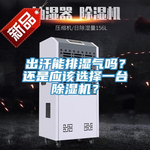 出汗能排濕氣嗎？還是應該選擇一臺除濕機？