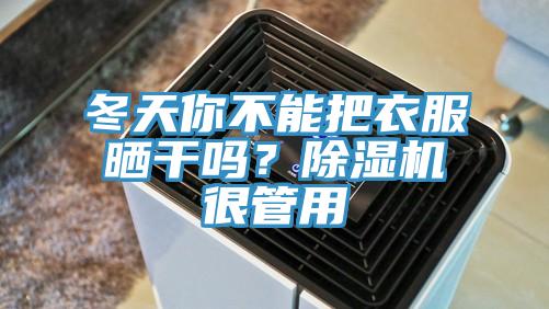 冬天你不能把衣服曬干嗎？除濕機很管用