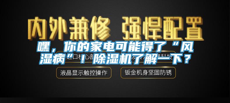 嘿，你的家電可能得了“風(fēng)濕病”！除濕機(jī)了解一下？