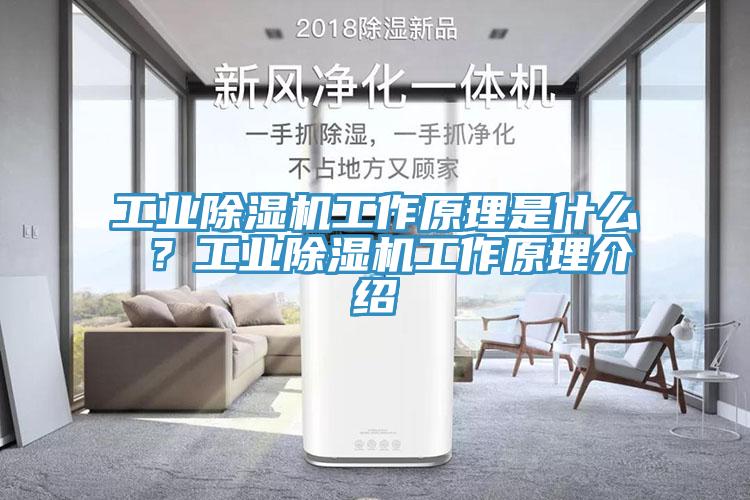 工業(yè)除濕機工作原理是什么 ？工業(yè)除濕機工作原理介紹