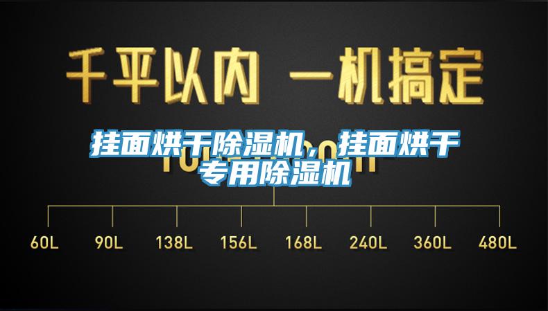 掛面烘干除濕機，掛面烘干專用除濕機