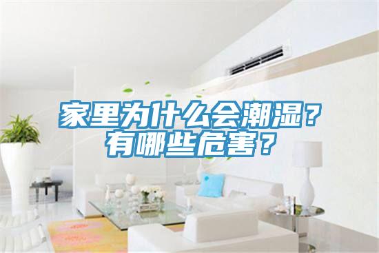 家里為什么會(huì)潮濕？有哪些危害？