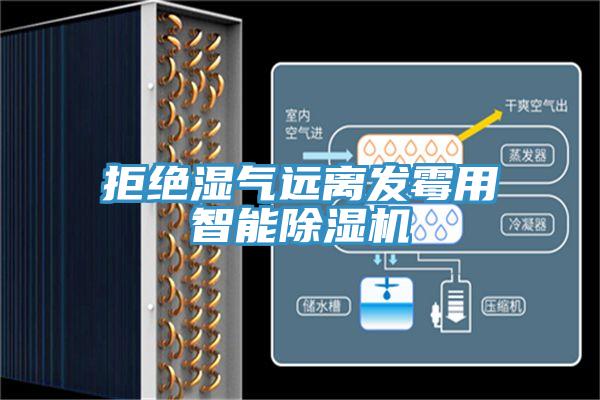 拒絕濕氣遠(yuǎn)離發(fā)霉用智能除濕機