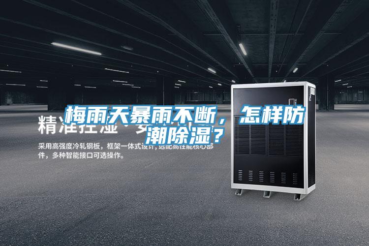 梅雨天暴雨不斷，怎樣防潮除濕？