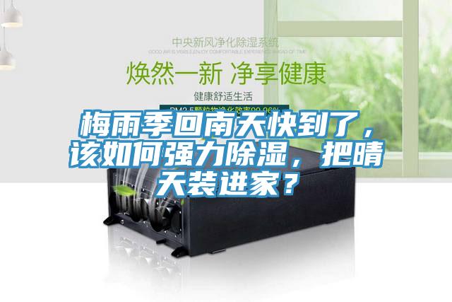 梅雨季回南天快到了，該如何強力除濕，把晴天裝進家？