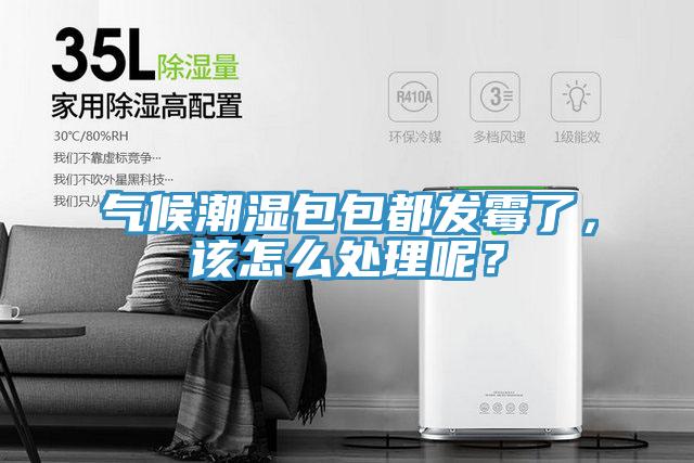 氣候潮濕包包都發(fā)霉了，該怎么處理呢？