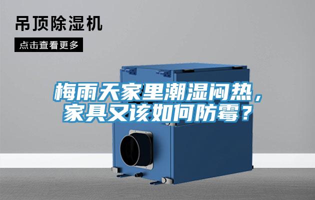 梅雨天家里潮濕悶熱，家具又該如何防霉？