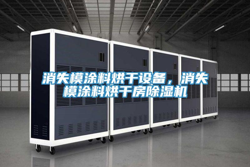 消失模涂料烘干設(shè)備，消失模涂料烘干房除濕機(jī)