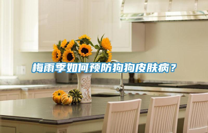 梅雨季如何預(yù)防狗狗皮膚?。?/></p>
                            <p style=