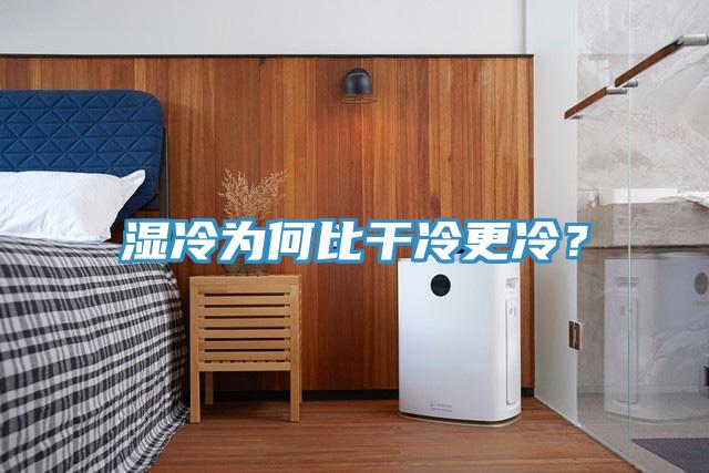 濕冷為何比干冷更冷？