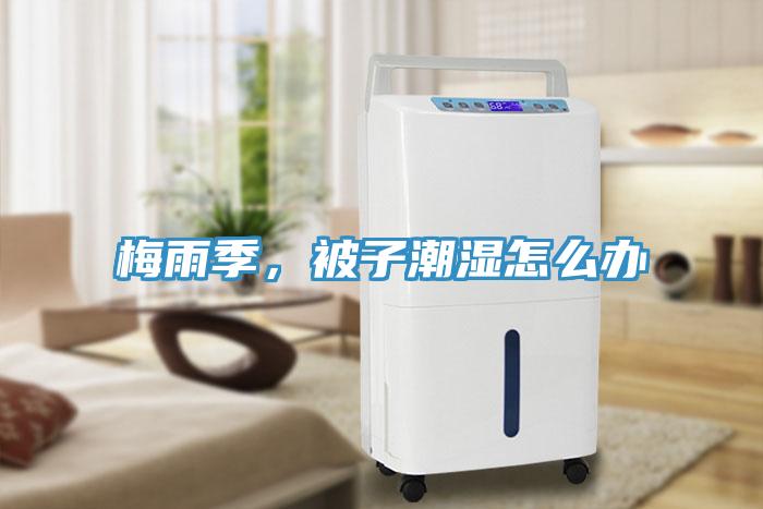 梅雨季，被子潮濕怎么辦