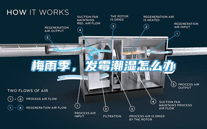梅雨季，發(fā)霉潮濕怎么辦