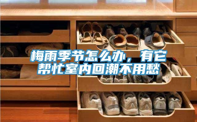 梅雨季節(jié)怎么辦，有它幫忙室內(nèi)回潮不用愁