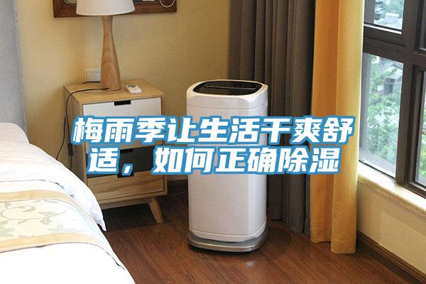 梅雨季讓生活干爽舒適，如何正確除濕