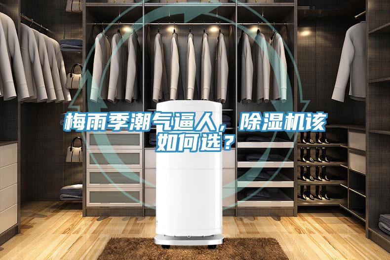 梅雨季潮氣逼人，除濕機(jī)該如何選？