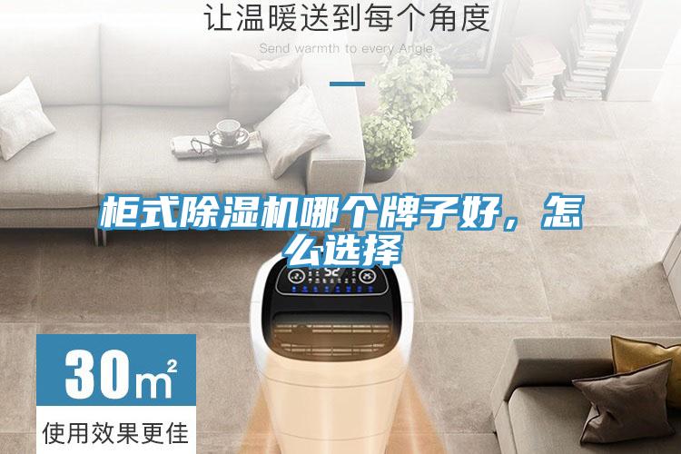 柜式除濕機(jī)哪個(gè)牌子好，怎么選擇