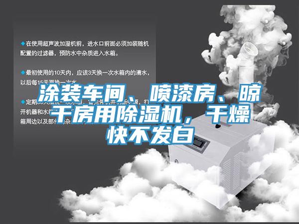 涂裝車間、噴漆房、晾干房用除濕機(jī)，干燥快不發(fā)白