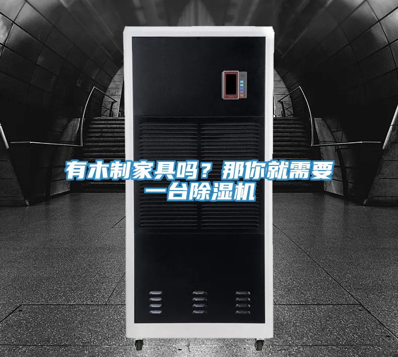 有木制家具嗎？那你就需要一臺(tái)除濕機(jī)