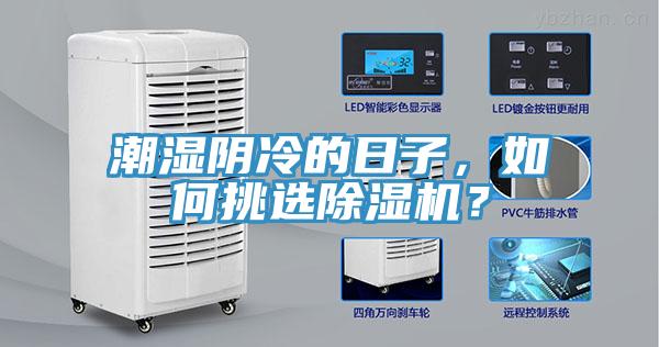 潮濕陰冷的日子，如何挑選除濕機(jī)？