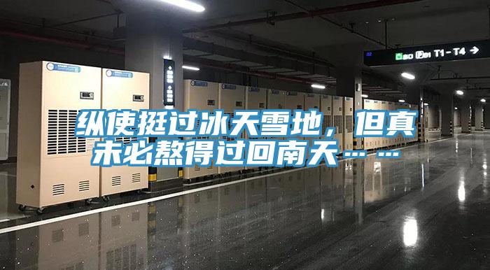 縱使挺過冰天雪地，但真未必熬得過回南天……