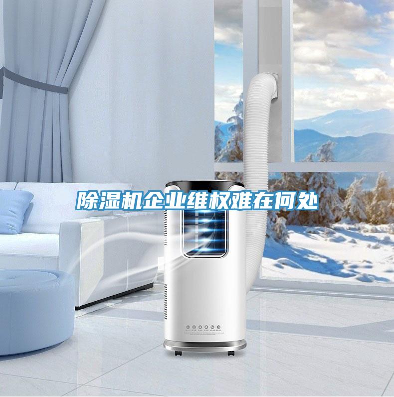 除濕機企業(yè)維權(quán)難在何處