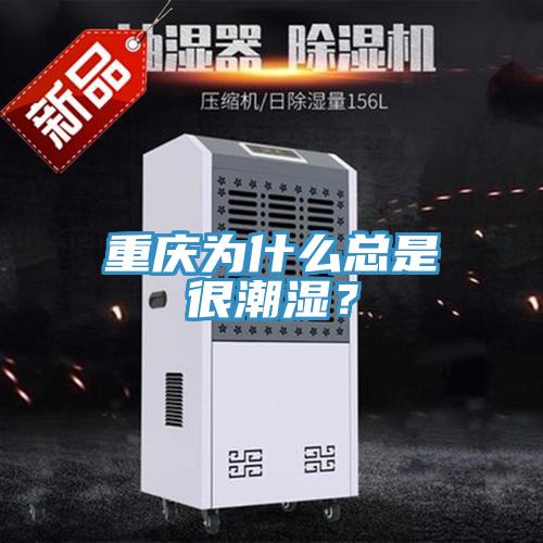 重慶為什么總是很潮濕？