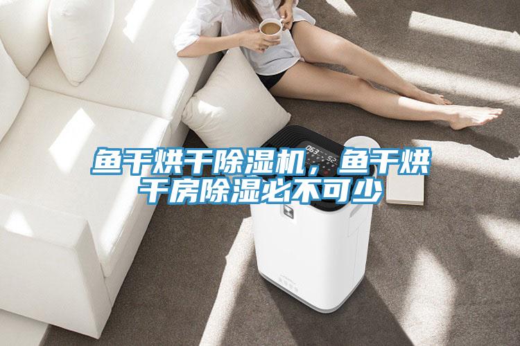 魚(yú)干烘干除濕機(jī)，魚(yú)干烘干房除濕必不可少