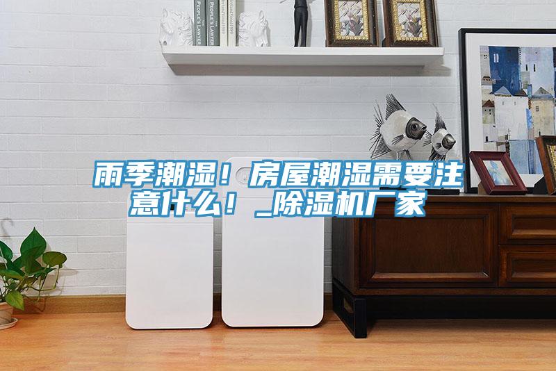 雨季潮濕！房屋潮濕需要注意什么！_除濕機廠家