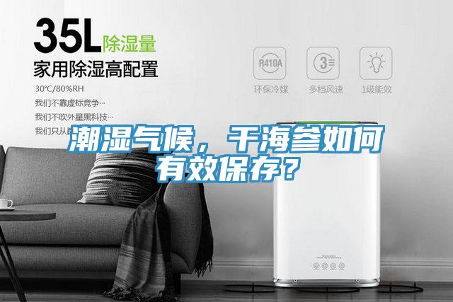 潮濕氣候，干海參如何有效保存？
