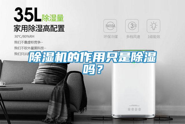 除濕機的作用只是除濕嗎？