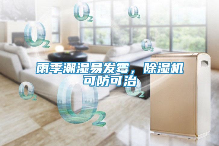 雨季潮濕易發(fā)霉，除濕機可防可治
