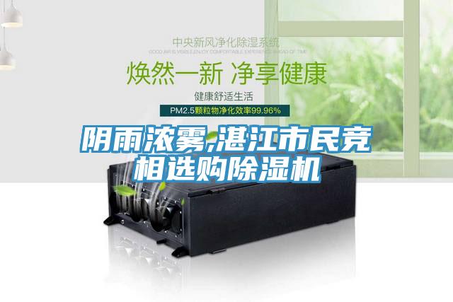 陰雨濃霧,湛江市民競相選購除濕機(jī)
