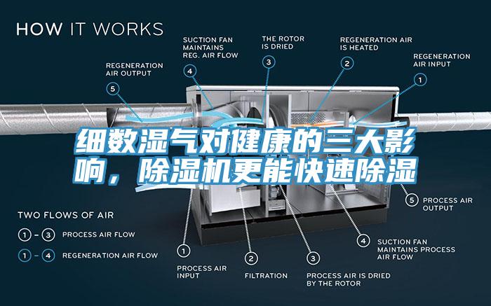 細數(shù)濕氣對健康的三大影響，除濕機更能快速除濕