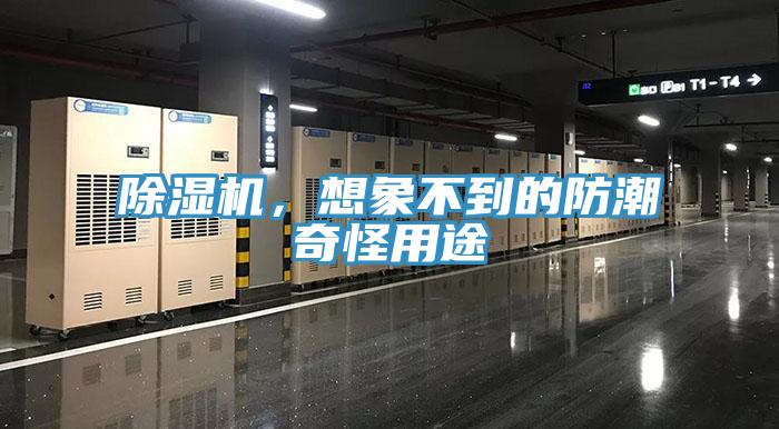 除濕機(jī)，想象不到的防潮奇怪用途
