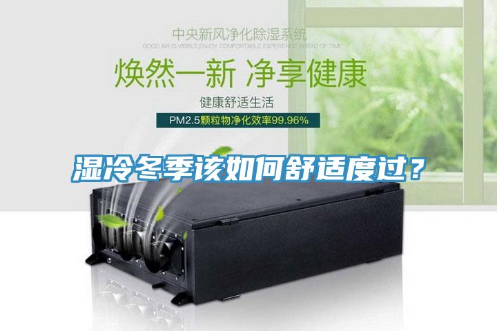 濕冷冬季該如何舒適度過？