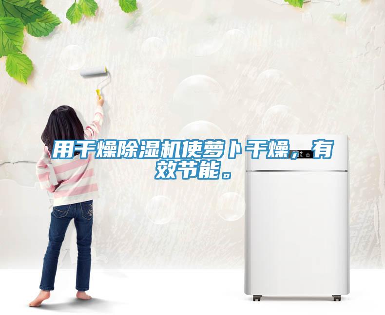 用干燥除濕機(jī)使蘿卜干燥，有效節(jié)能。