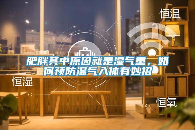 肥胖其中原因就是濕氣重，如何預防濕氣入體有妙招