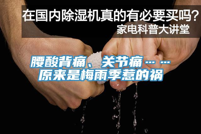 腰酸背痛、關(guān)節(jié)痛……原來(lái)是梅雨季惹的禍